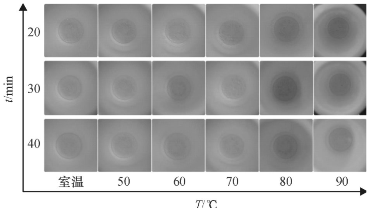 圖6不同密閉消解時(shí)間、不同水浴溫度的消解效果